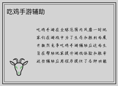 吃鸡手游辅助