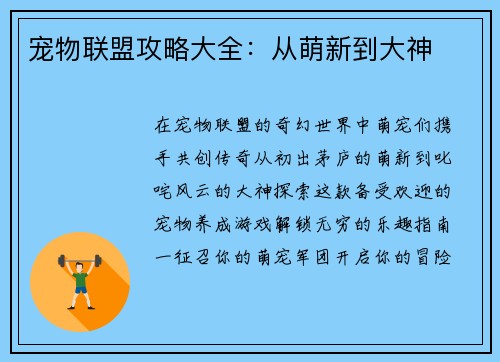 宠物联盟攻略大全：从萌新到大神