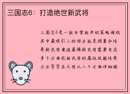 三国志6：打造绝世新武将